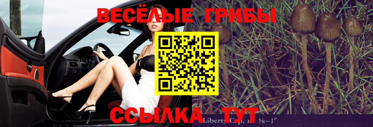 наркошоп  Псилоцибиновые грибы прущие грибы  Вход с VPN  Псилоцибиновые грибы Psilocybine cubensis  Бийск 